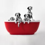 vero xonyx™ solid surface kivivann punase välisviimistlusega tartu salongi näidise müük